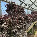 photo-mar-28-2026-10-47-39