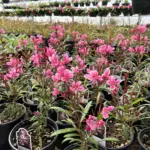 photo-mar-28-2026-10-47-43