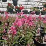 photo-apr-11-2026-4-43-23-pm-2