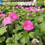 photo-apr-11-2026-4-43-23-pm-4