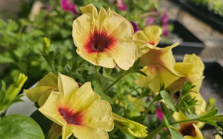 photo-apr-11-2026-4-43-23-pm