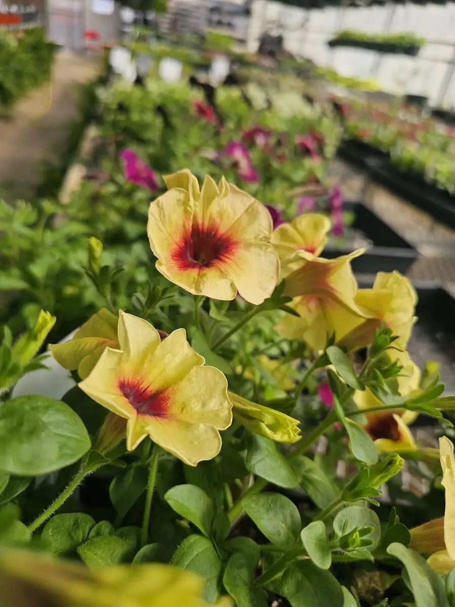 photo-apr-11-2026-4-43-23-pm