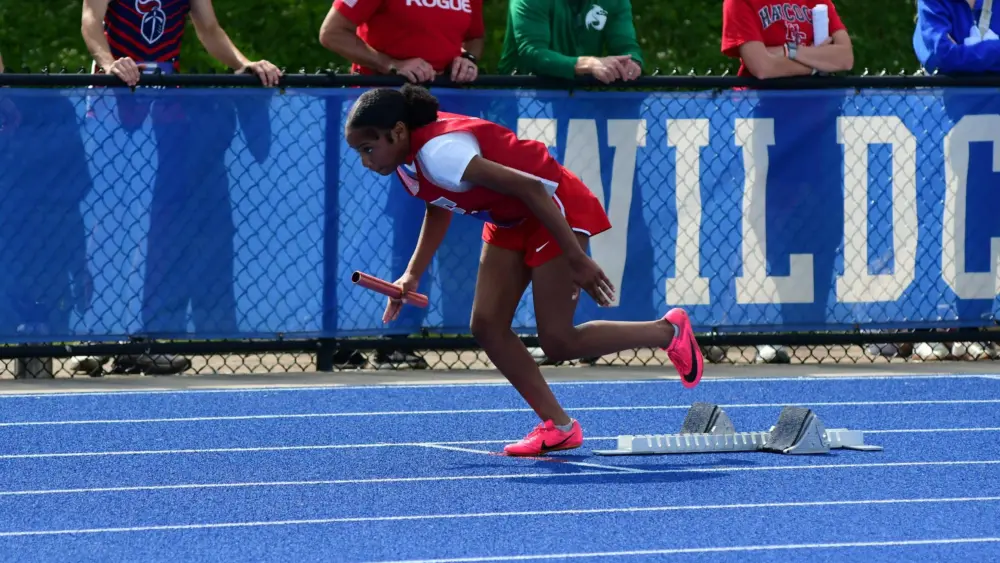 dsc_7876-e17768023994024525