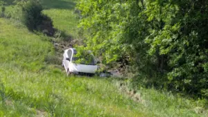 pxl_20260426_212348639-mp_copy_1000x563