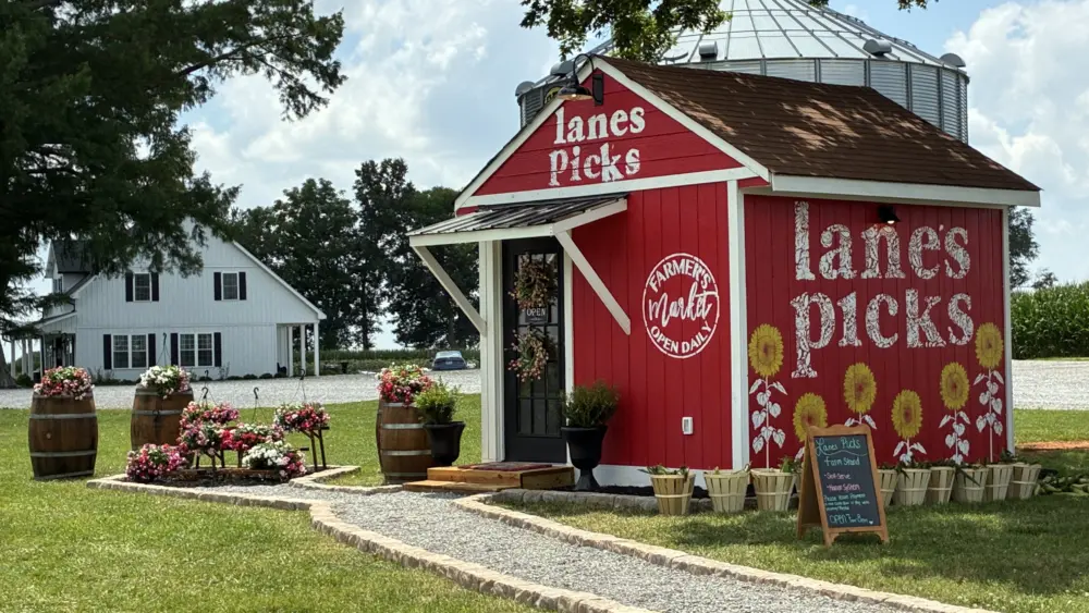lanes-picks-27
