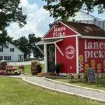 lanes-picks-27