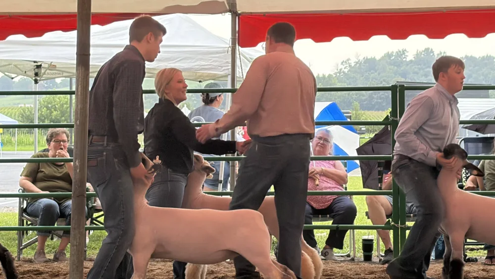 tcf-sheep-show-63
