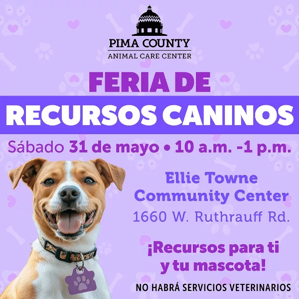 PACC Resource Fair