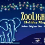 Tucson zoo lights