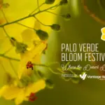 palo verde bloom fest