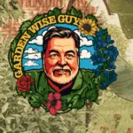 screenshot-2025-11-21-at-9-21-09-am