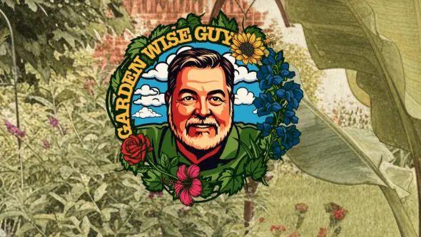 screenshot-2025-11-21-at-9-21-09-am