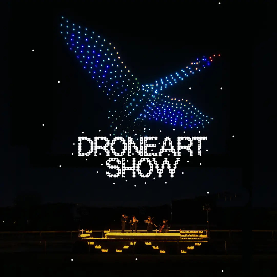 DroneArt Show