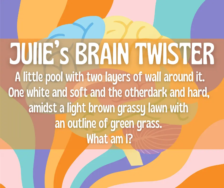 brain-twister-facebook-post-julie