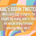 brain-twister-facebook-post-julie-1