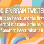 a-beetle
