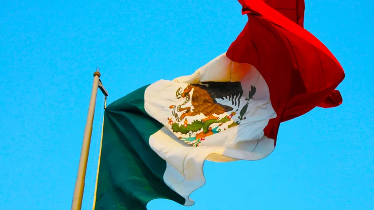 Mexico Flag waving in the wind