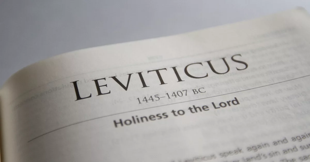 13131-leviticus-bst-sparrowstock700689