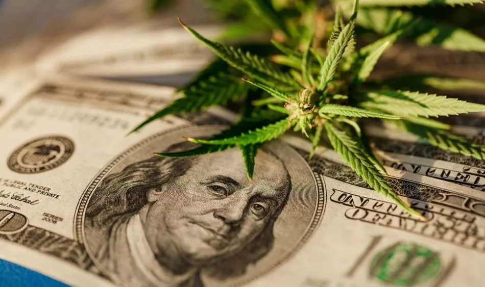 Marijuana and money