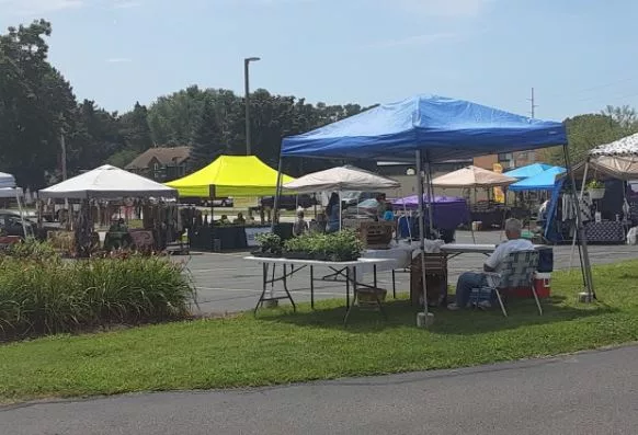 bridgman-open-air-market