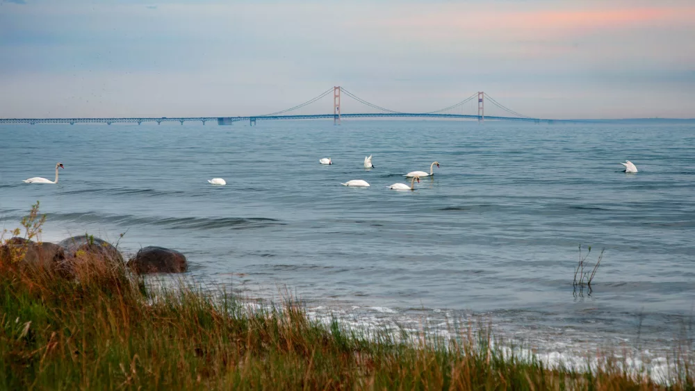 Mackinac Bridge wide view