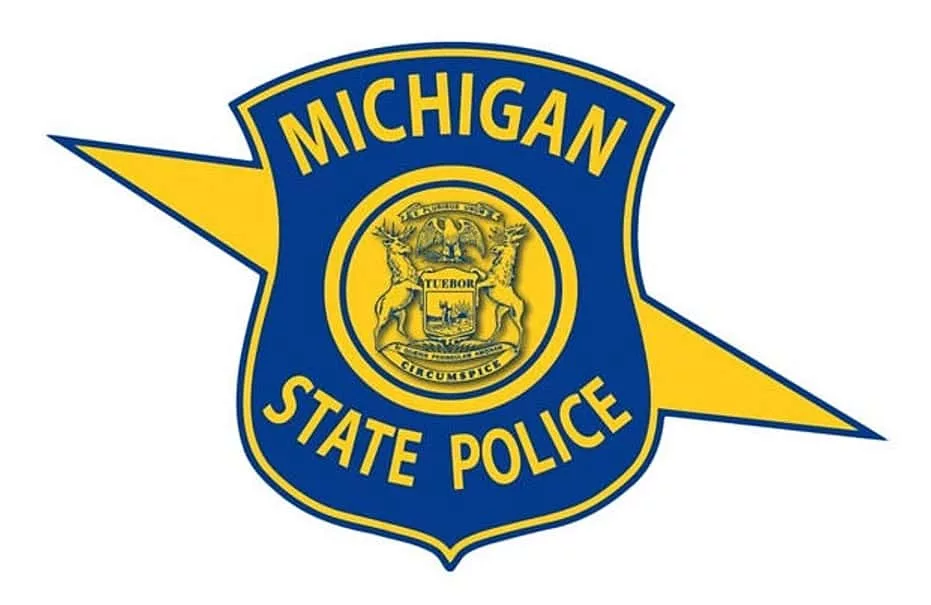 msplogo1-4