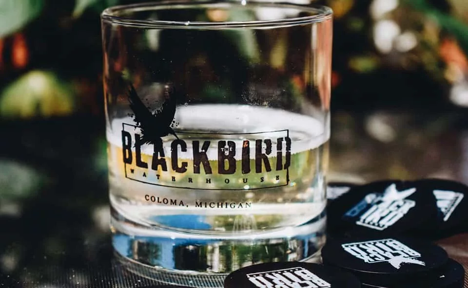 blackbirdcider