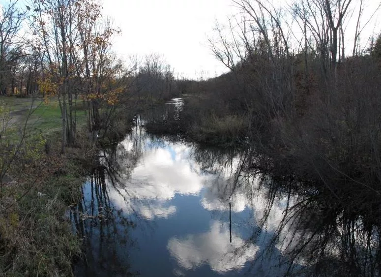 Ox Creek