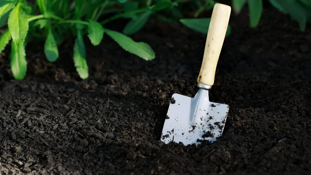 garden-small-shovel-in-vegetable-garden