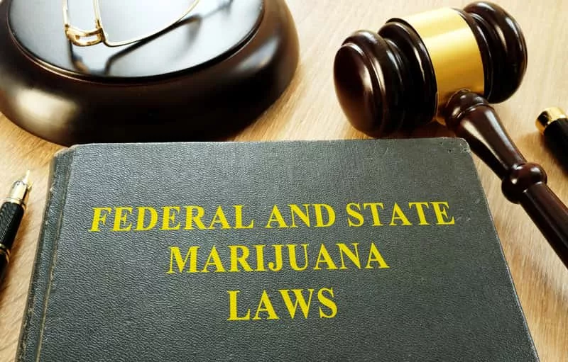 federal-and-state-marijuana-laws-and-gavel-in-a-court-2