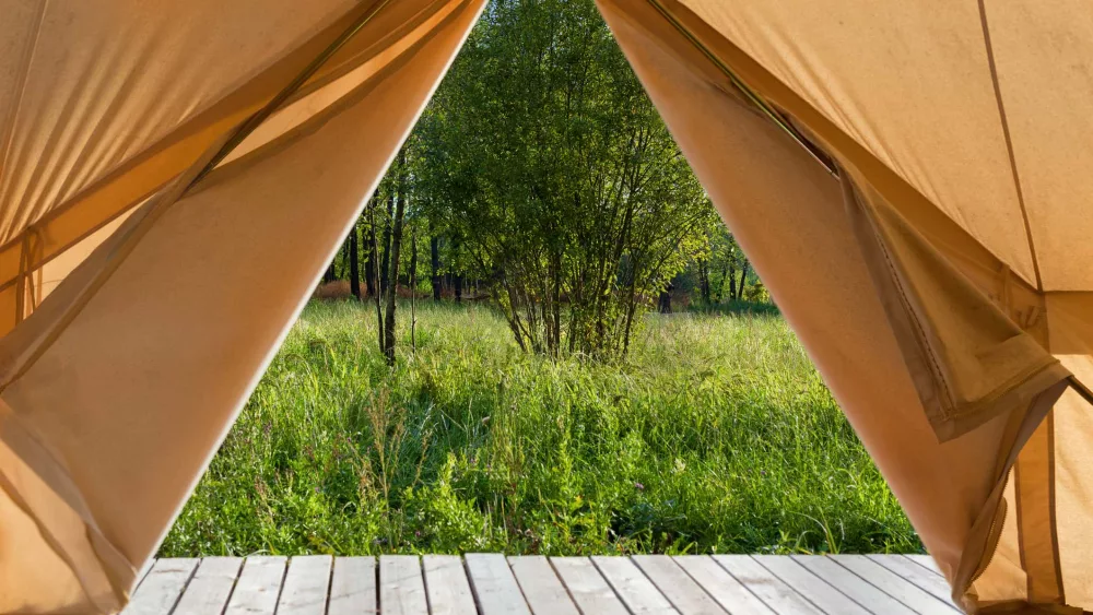 view-from-the-canvas-tent-upon-the-green-meadow