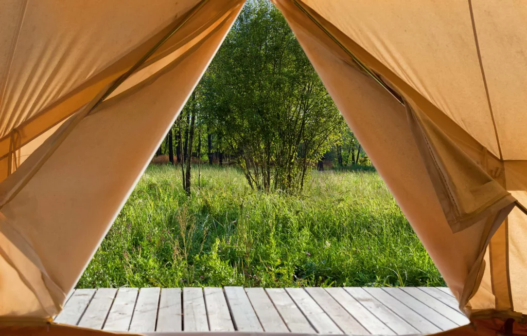 view-from-the-canvas-tent-upon-the-green-meadow