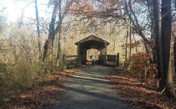 bridge-south-haven