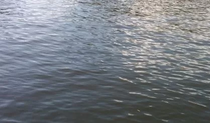 water