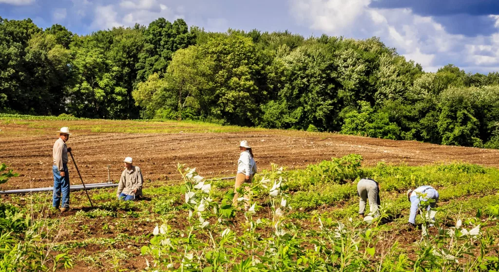 farmworkers-6