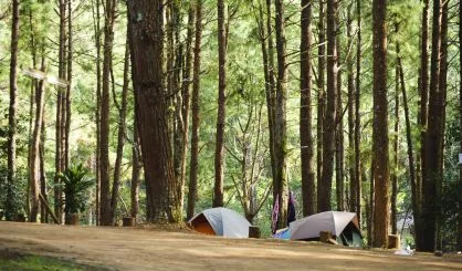 camping-tent-in-forest-of-thailand