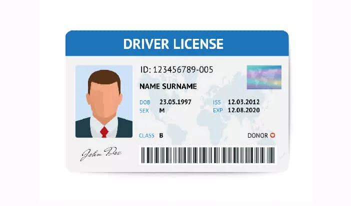 driverlicense-3