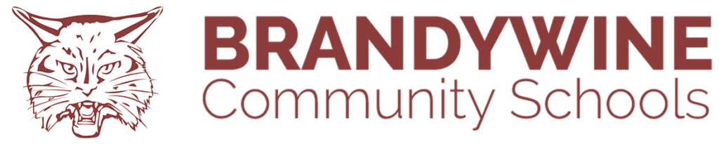 brandywide logo