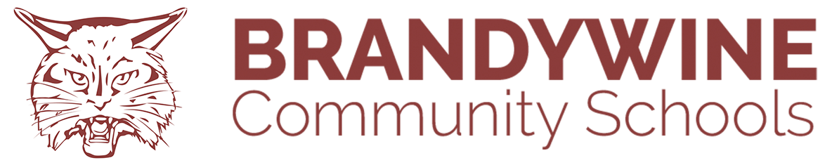 brandywide logo