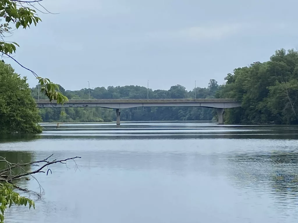 buchanan-walton-bridge-from-public-access-2