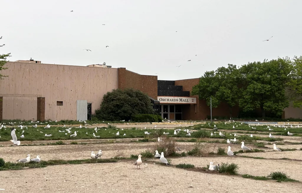 seagulls-mall-orchards