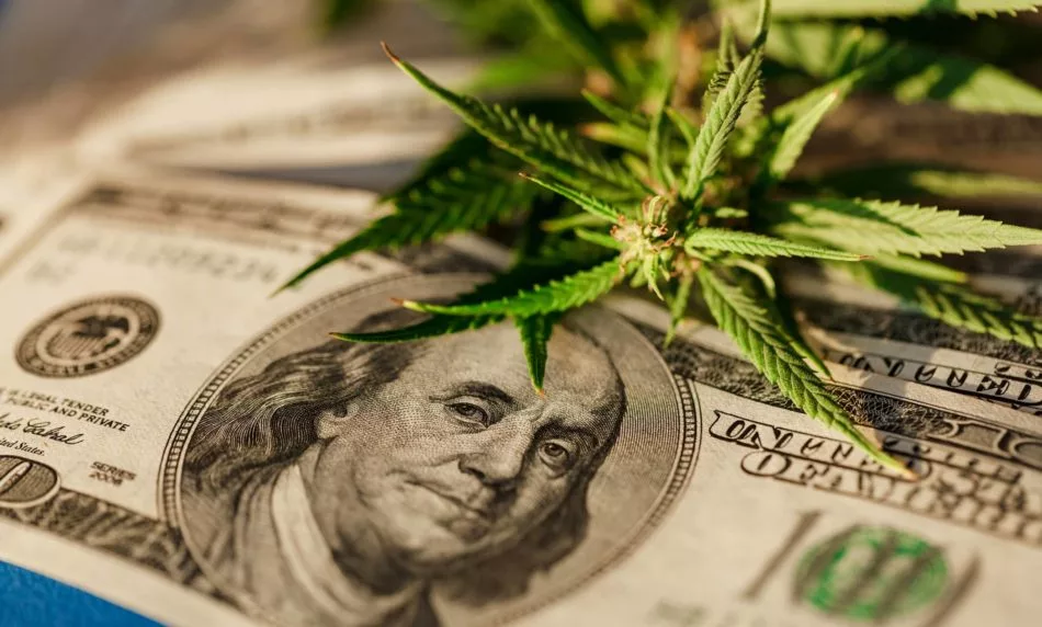 marijuanasales-e1705569529808-3