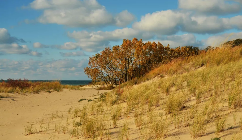 warrendunes-3