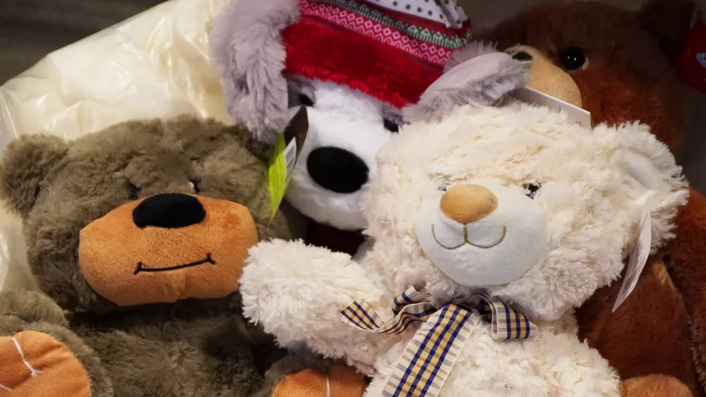 SBN Bears in the Air