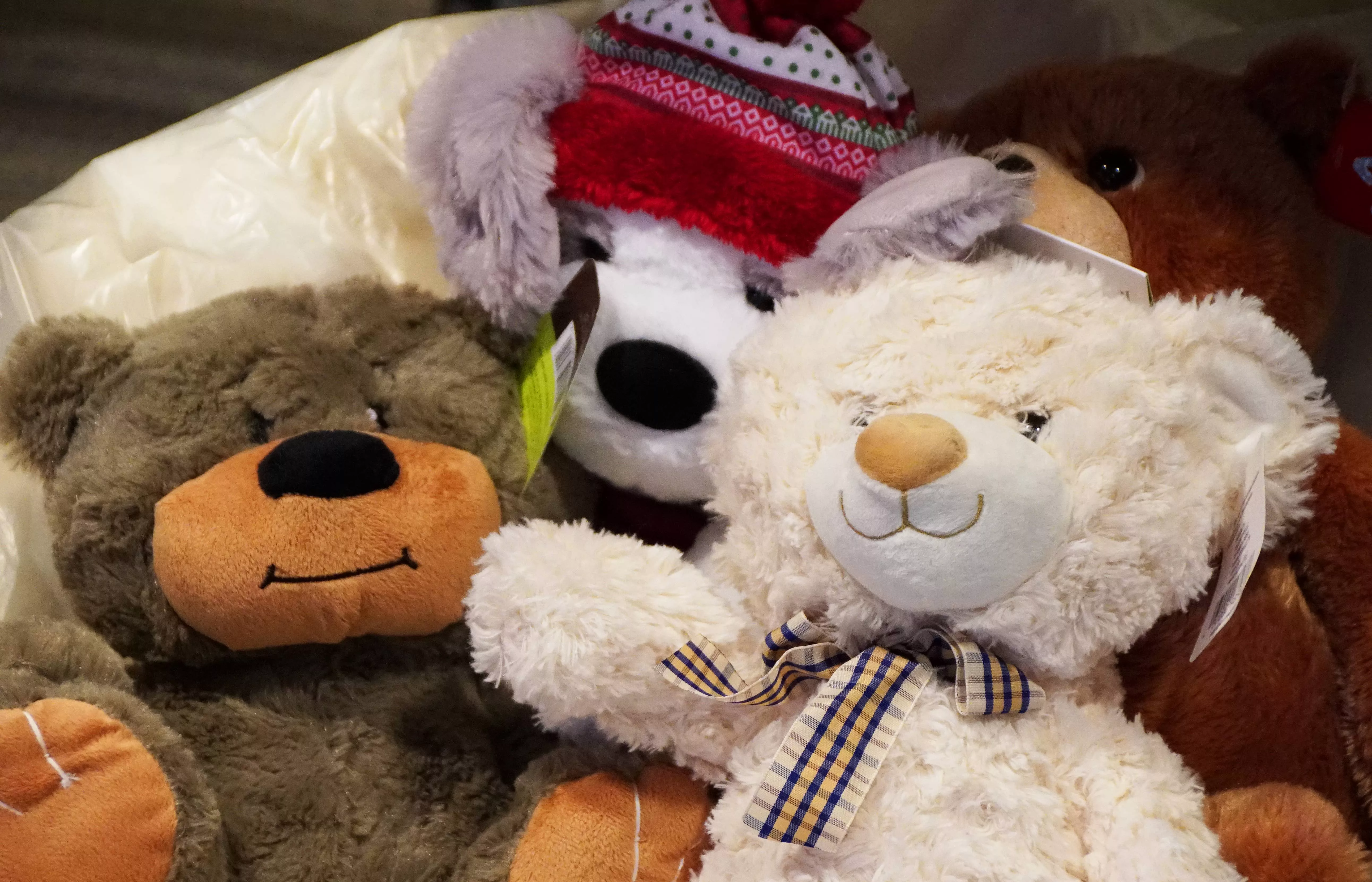 SBN Bears in the Air