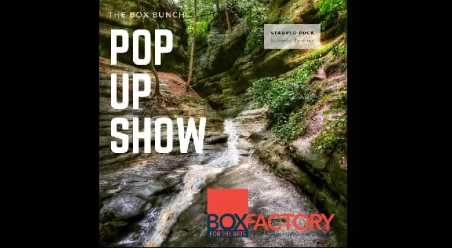 boxbunchpopupshow