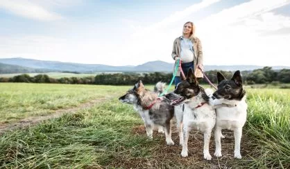 beautiful-pregnant-woman-with-dogs-in-green-sunny-nature