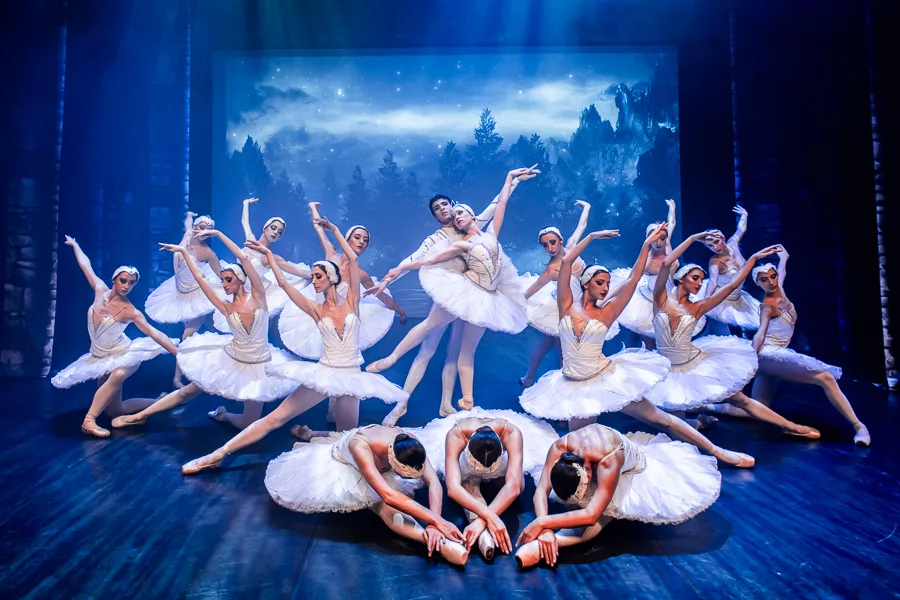 swan lake