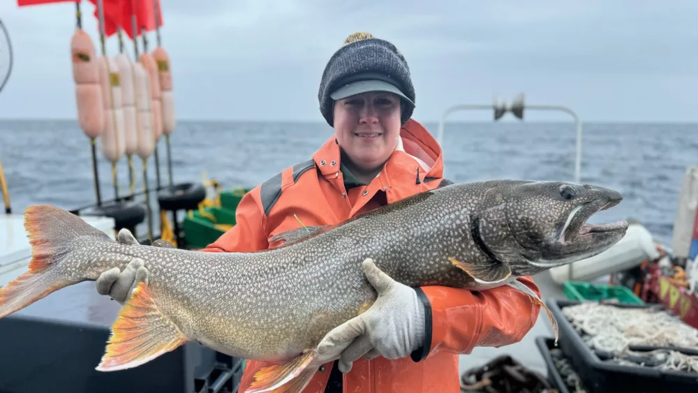 isle-royale-lake-trout