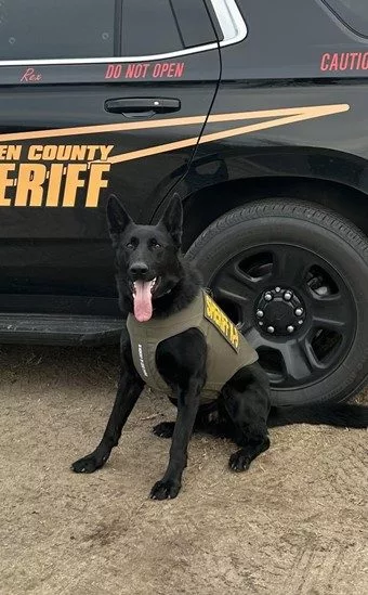 BCSD Rex K9